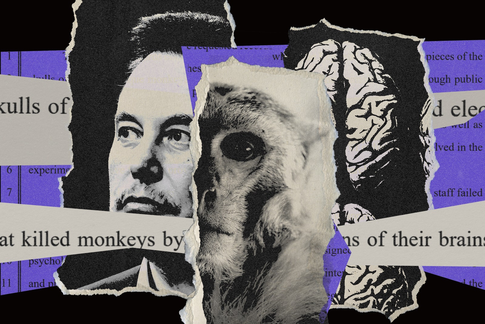 How Neuralink Keeps Dead Monkey Photos Secret