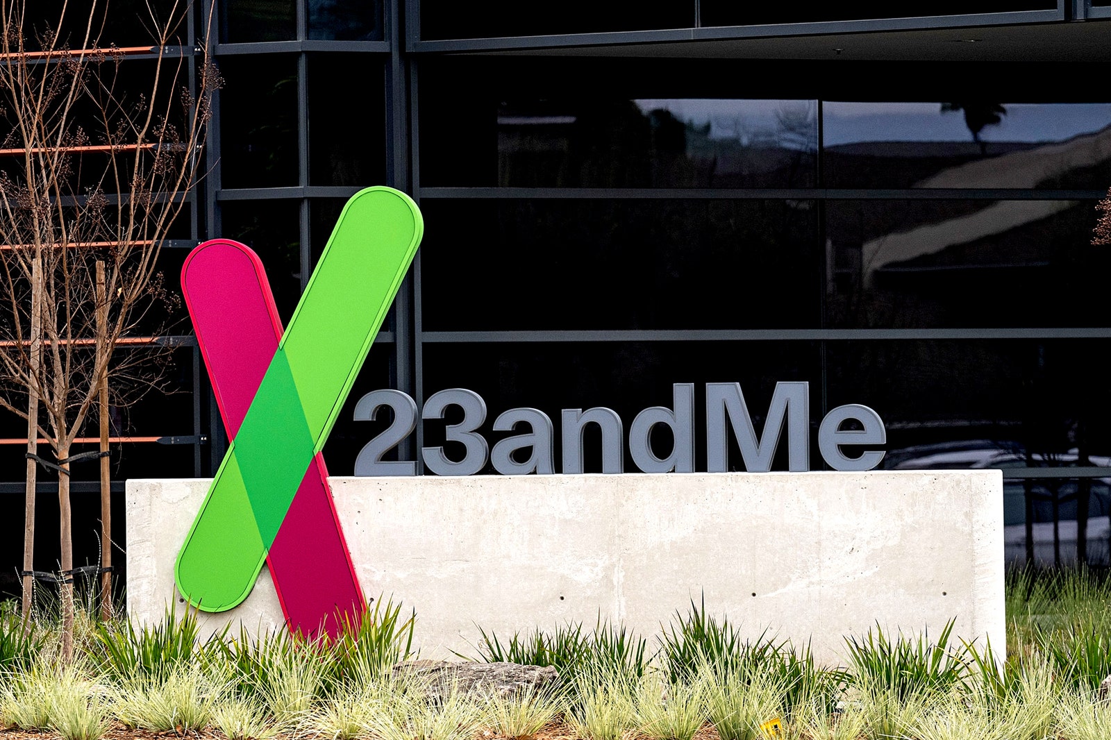 23andMe User Data Stolen in Targeted Attack on Ashkenazi Jews