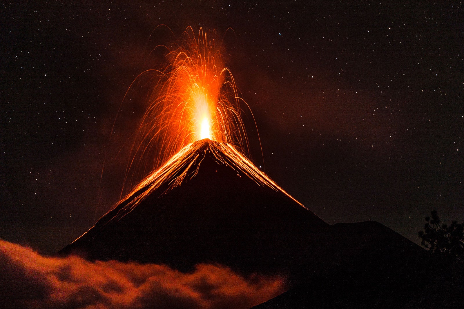 An Epic Fight Over What Really Killed the Dinosaurs