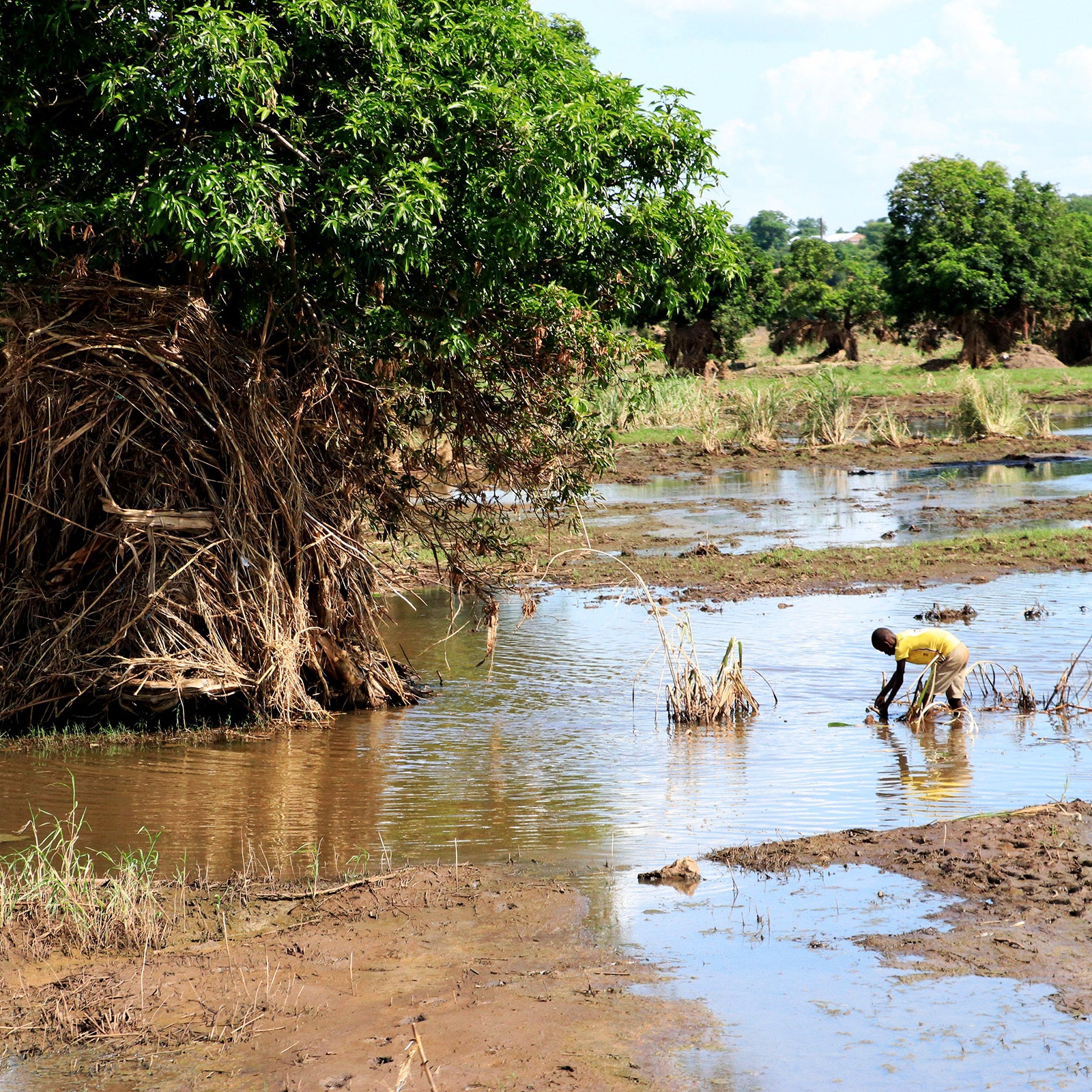 A Global Surge in Cholera Outbreaks May Be Fueled by Climate Change