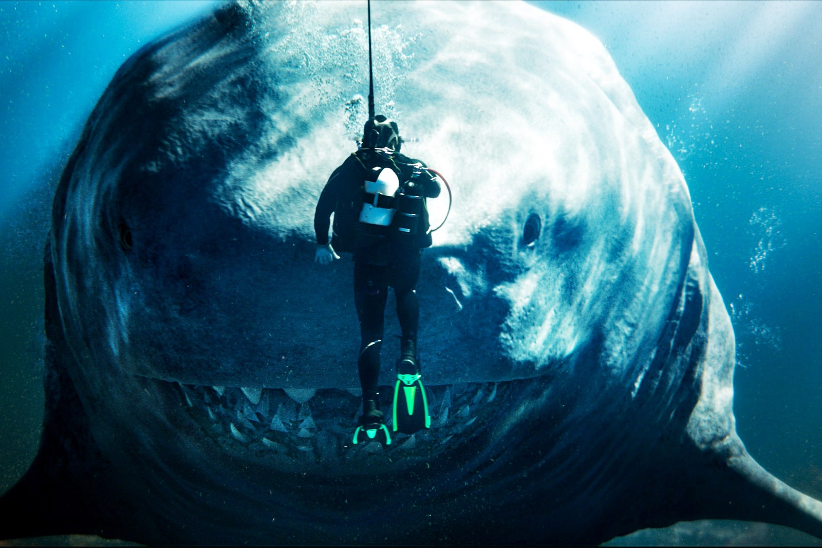 The 25 Best Movies on Max (aka HBO Max) Right Now