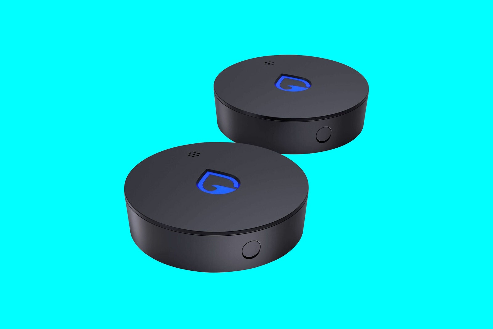 The 6 Best Water Leak Detectors for Your Home