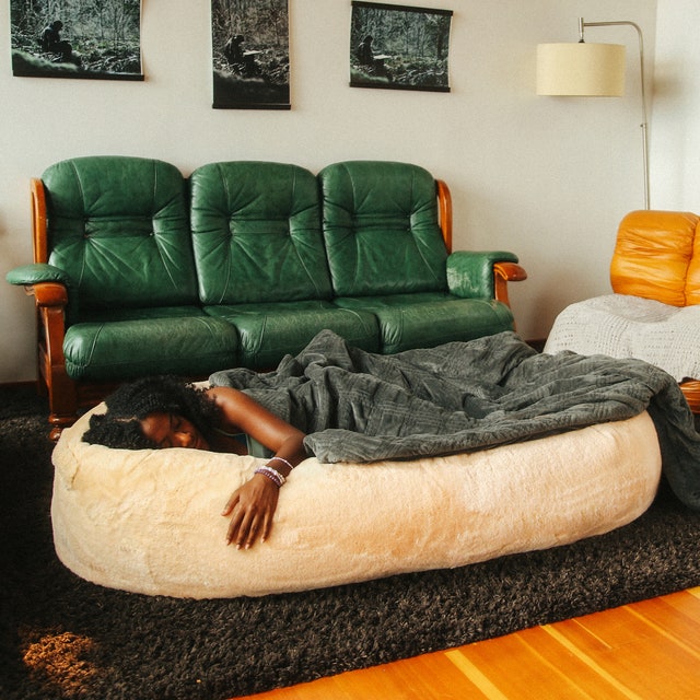 Sometimes You Just Need to Lie in a Giant Dog Bed for Humans